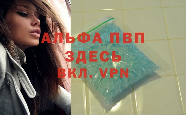 стафф Нефтегорск