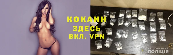 винт Нея