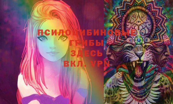 стафф Нефтегорск