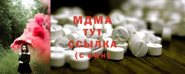 прущие грибы Надым