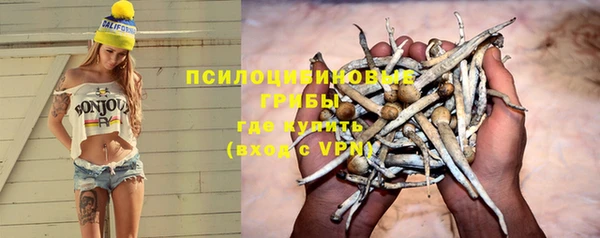 стафф Нефтегорск