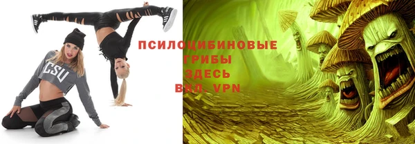 стафф Нефтегорск