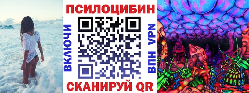 Галлюциногенные грибы Psilocybe  Арзамас 